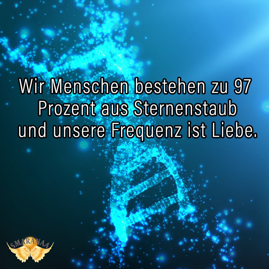 Die Entschlüsselung der DNA