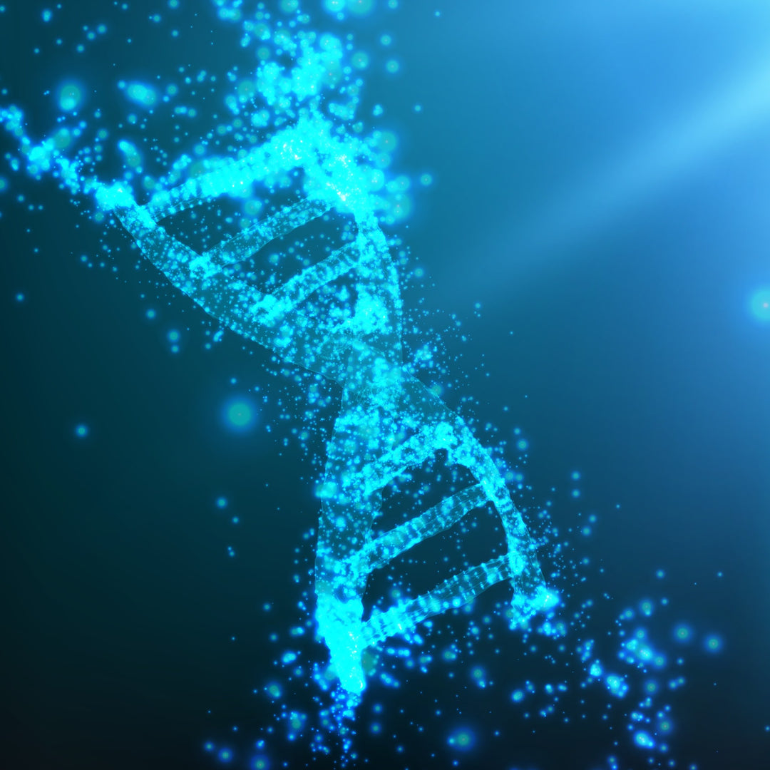 Webinar  DNA Schutz und Umstrukturierung
