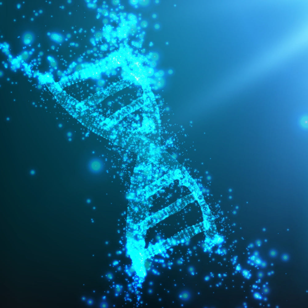 Webinar  DNA Schutz und Umstrukturierung